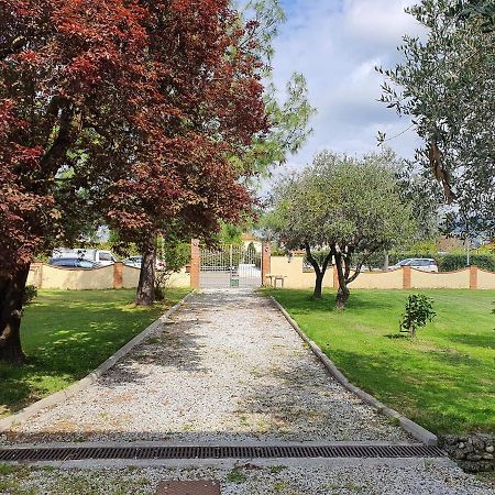 La Casetta Di Silvio Capezzano Pianore ภายนอก รูปภาพ