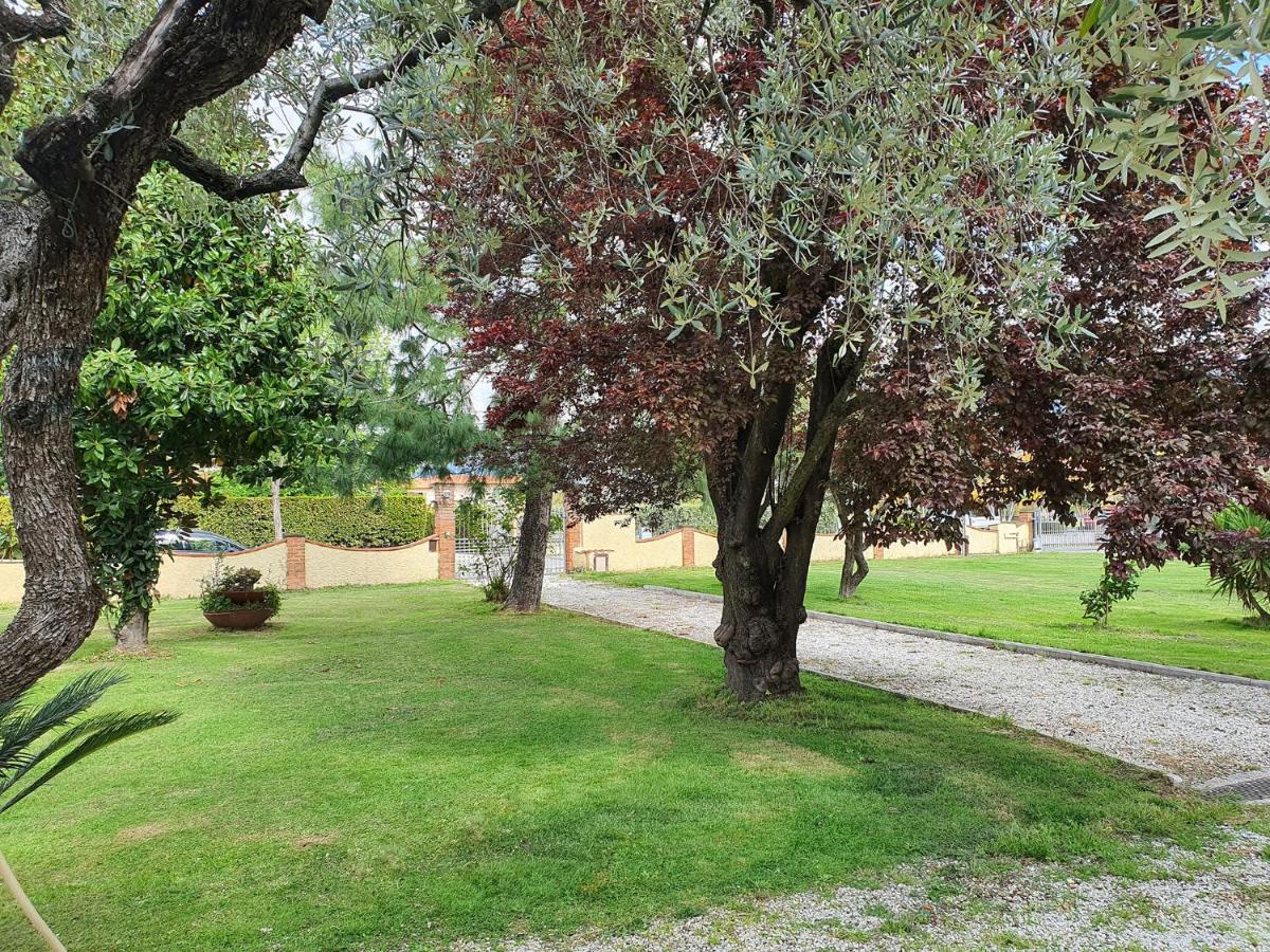 La Casetta Di Silvio Capezzano Pianore ภายนอก รูปภาพ